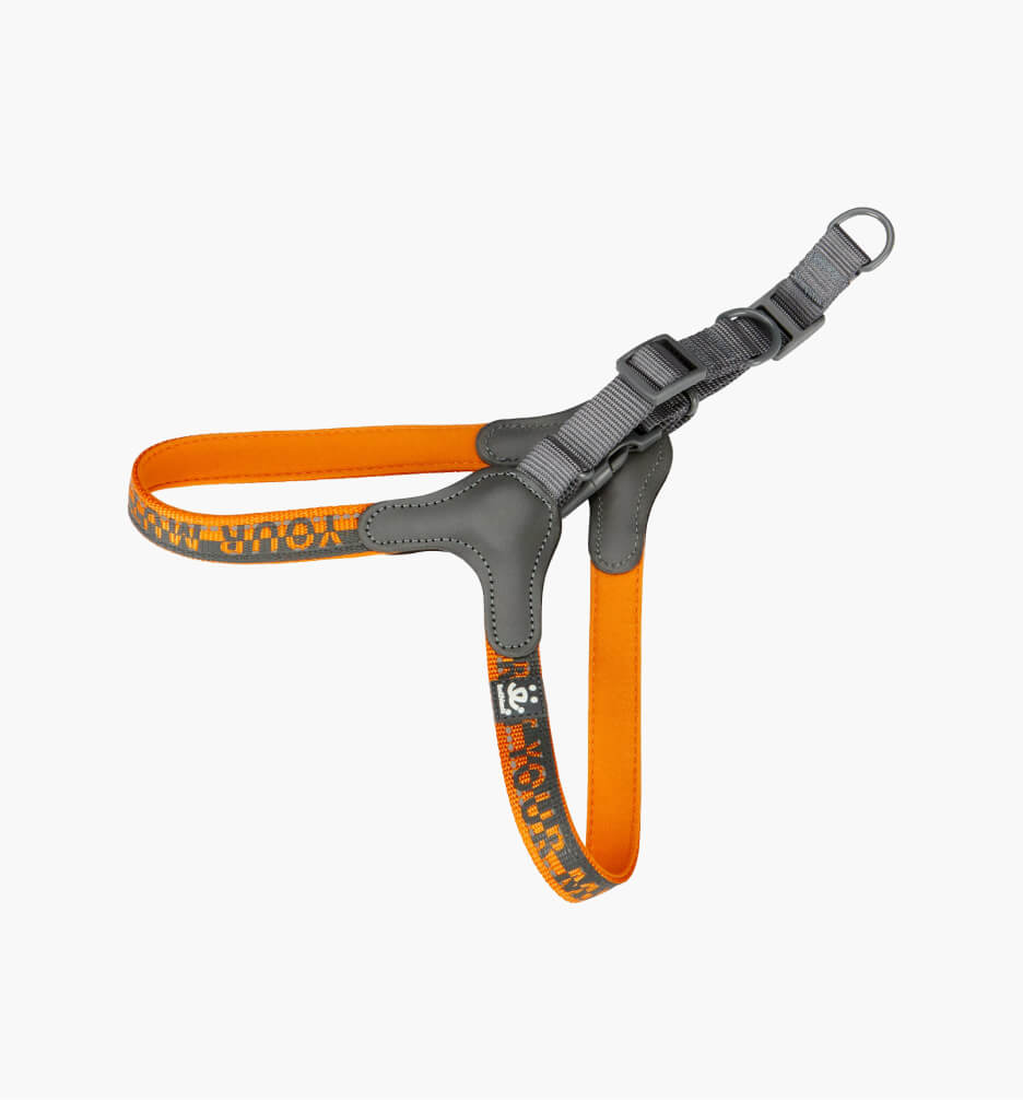 Meow Mix Seafood Medley Dry Cat Food, 3.15-Pound